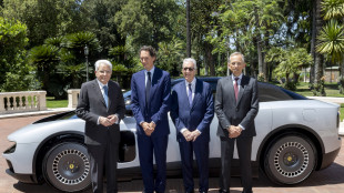 Elkann incontra Mattarella, 'Ferrari Luce simbolo dei valori italiani'