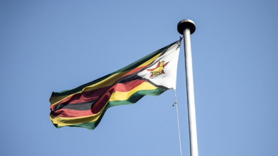 Zimbabue prohibir&aacute; las exportaciones de litio para dinamizar el refinado en el pa&iacute;s