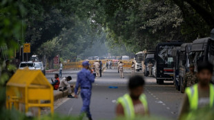 Indian court releases 'cockroach' movement leaders from detention