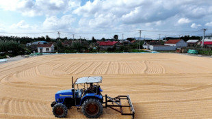 El crecimiento econ&oacute;mico de China se desaceler&oacute; en el 3T, seg&uacute;n un sondeo de la AFP