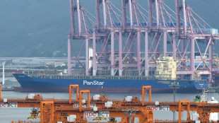 S&uuml;dkorea schickt erstes Containerschiff durch die Arktis 