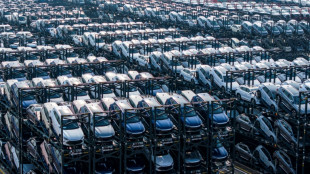 Studie: Auto-Importe aus China gehen durch neue EU-Z&ouml;lle um 42 Prozent zur&uuml;ck