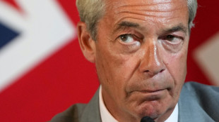 Farage vs Count Binface: What to know about UK snap poll