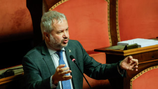 Borghi (Lega), non voterò nuova autorizzazione armi a Kiev