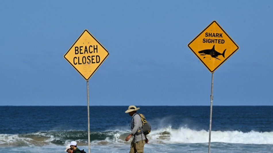 Experts say great white shark likely killed Australian surfer
