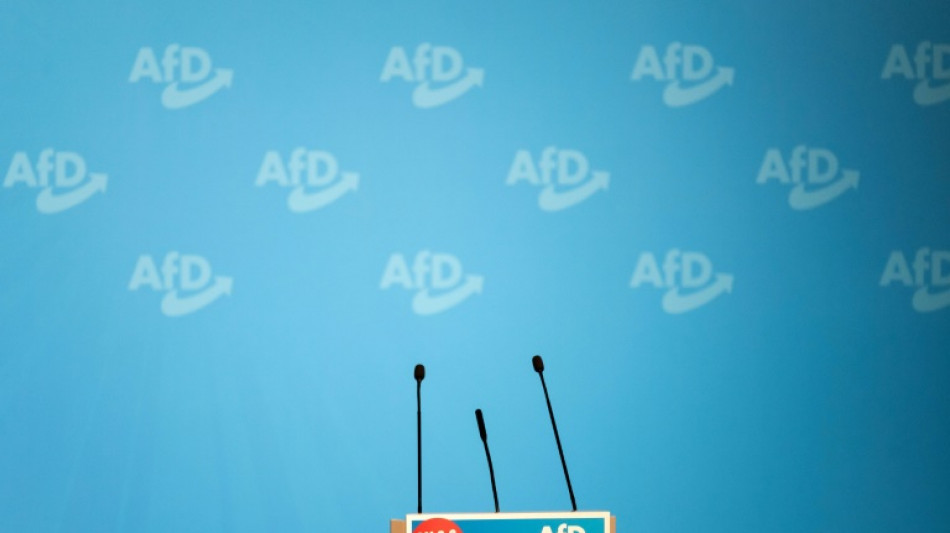 Bas r&auml;t zu Abstimmung &uuml;ber AfD-Verbotsverfahren erst Ende des Jahres