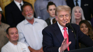 Trump pressiona Congresso para que aprove megaprojeto de lei or&ccedil;ament&aacute;ria