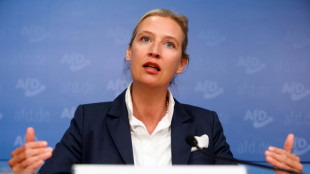 Weidel sieht Brexit als "Modell f&uuml;r Deutschland"