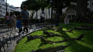 En Equateur, criminalit&eacute;, ch&ocirc;mage et petites retraites