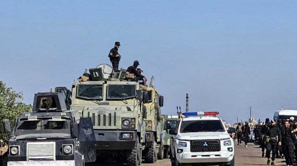 Une ONG accuse les forces syriennes d'avoir tué 12 civils druzes