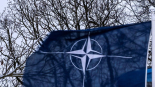 Trump: Nato-Staaten sollen Verteidigungsausgaben auf f&uuml;nf Prozent erh&ouml;hen 