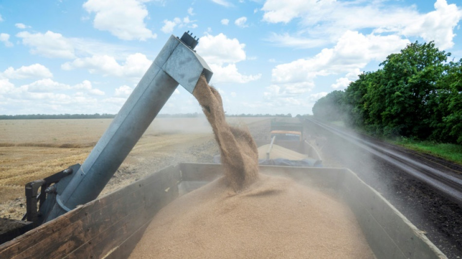 La compleja operaci&oacute;n para sacar los cereales de Ucrania