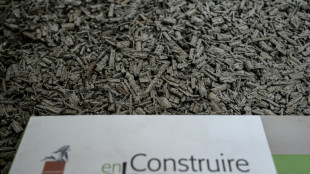 Chanvre: l'agriculture &agrave; la rescousse de la d&eacute;carbonation de la construction