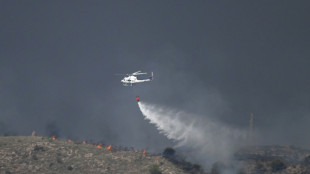 Eleven dead, 19 missing as wildfire roars through southern Spain