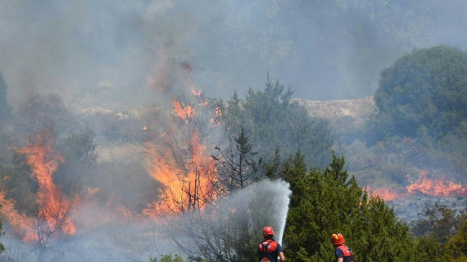 Two dead as wildfires rage near Turkish resort of Izmir