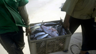 CIJ rejeita reivindica&ccedil;&otilde;es da Nicar&aacute;gua em disputa mar&iacute;tima contra Col&ocirc;mbia