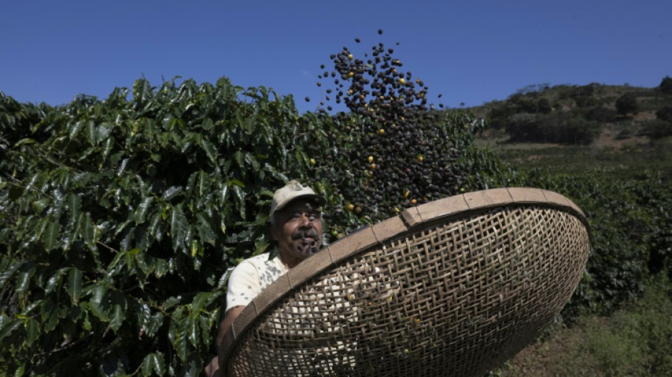 EUA elimina tarifas elevadas sobre diversos produtos agrícolas do Brasil