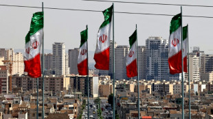 Amnist&iacute;a protesta por la confirmaci&oacute;n de la condena a latigazos contra una cantante iran&iacute;