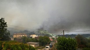 M&aacute;s de 343.000 hect&aacute;reas han ardido en Espa&ntilde;a en 2025, un r&eacute;cord para el pa&iacute;s