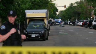 Oito feridos em ataque 'terrorista' contra protesto por ref&eacute;ns israelenses nos EUA