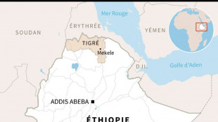 Ethiopie: les rebelles du Tigr&eacute; disent avoir perdu la ville-cl&eacute; de Shire