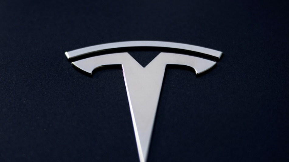 Les immatriculations de Tesla continuent de s'effondrer en France en avril