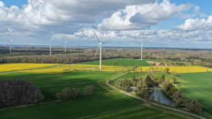 Recherche en vue sur les interactions entre &eacute;oliennes et m&eacute;t&eacute;o locale