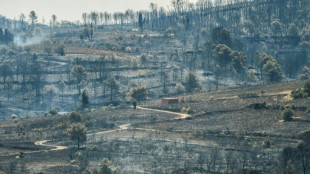 Eté 2025: des feux "hors normes" en France et en Europe 