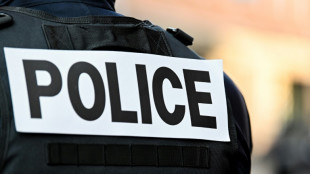 Un Tunisien &eacute;crou&eacute; en France, soup&ccedil;onn&eacute; de fomenter un projet d'attaque jihadiste