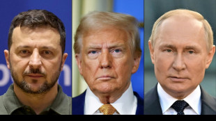 Europeans plan Ukraine talks with Trump before he meets Putin
