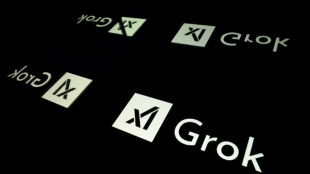 Tesla propondr&aacute; a sus accionistas invertir en la empresa de IA de Musk