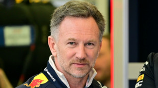 Red Bull sack F1 team chief Horner
