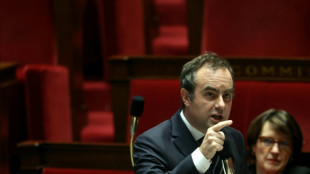 Budget : Lecornu choisit le 49.3 avec "amertume"