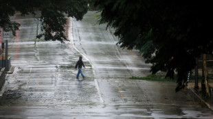 La temp&ecirc;te Alfred provoque des coupures d'&eacute;lectricit&eacute; massives