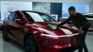 A&ccedil;&otilde;es da Tesla caem 9% por vendas decepcionantes na Europa