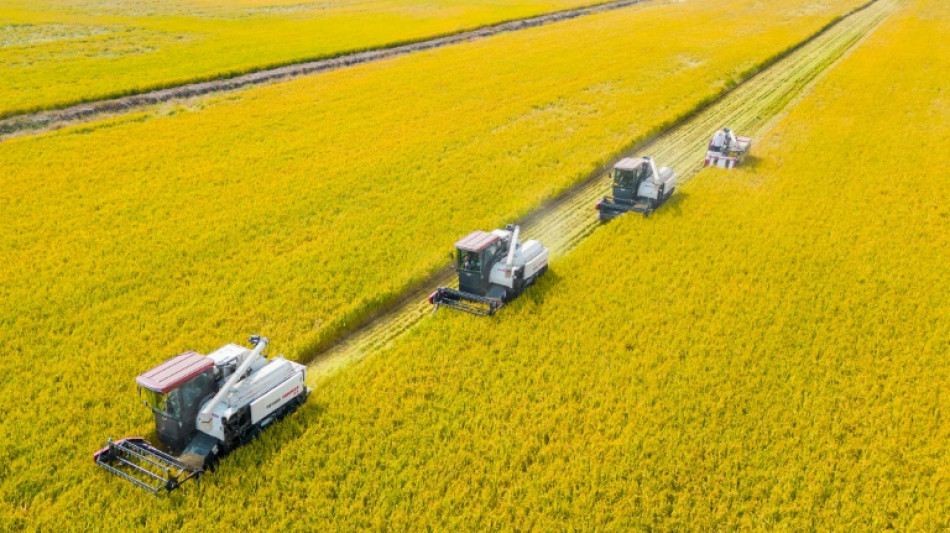 La Chine annonce des &eacute;missions obligataires de 130 milliards d'euros pour soutenir l'activit&eacute;