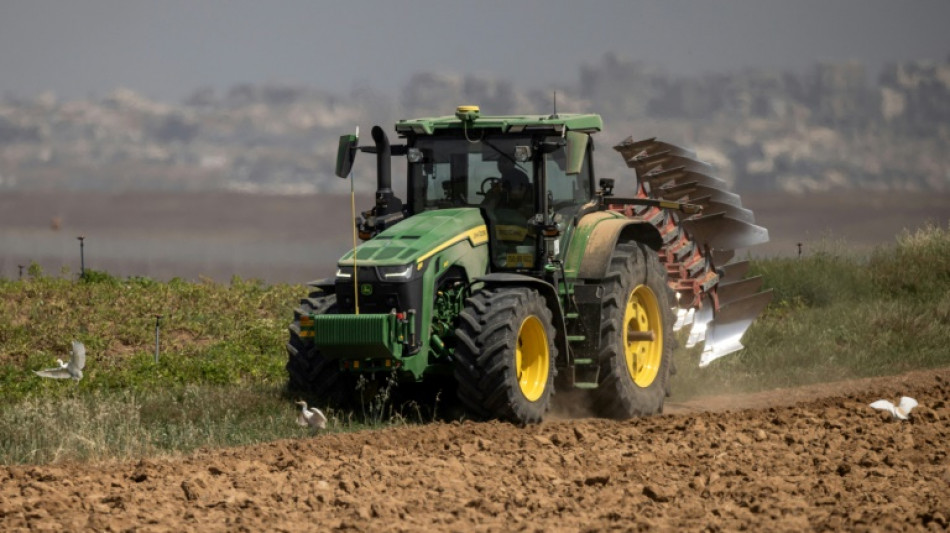 En Isra&euml;l, des agriculteurs relancent un projet de production de tequila pr&egrave;s de Gaza 