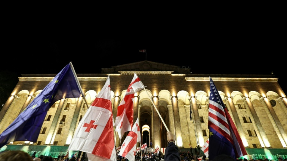 El partido gobernante en Georgia pide prohibir a los principales partidos de oposici&oacute;n