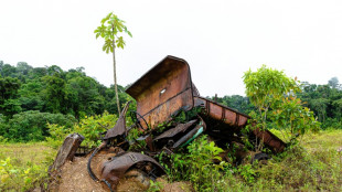 Guyane: vaste op&eacute;ration pour faire fuir les chercheurs d'or clandestins