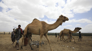 Dati spaziali per aiutare le regioni in via di sviluppo