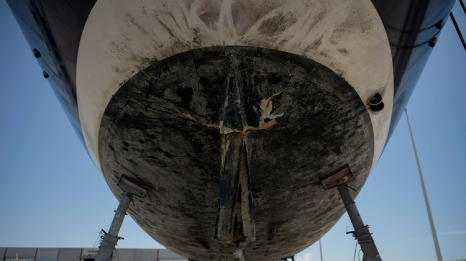 Le myst&egrave;re des attaques d'orques, terreur des voiliers dans les eaux espagnoles