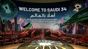 UN experts urge Saudi labour practices switch before World Cup