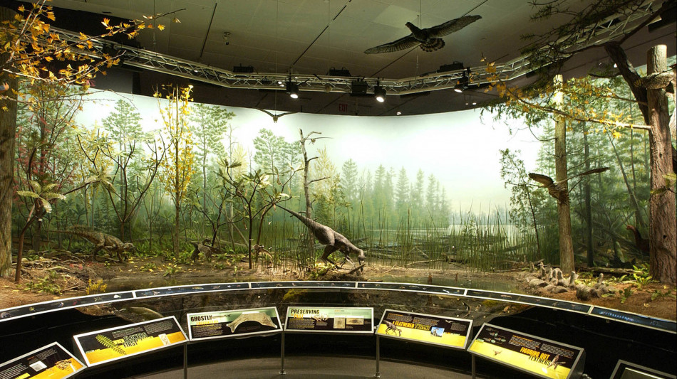 Trovati i primi dinosauri 'cornuti' europei, la loro identit&agrave; incerta per anni