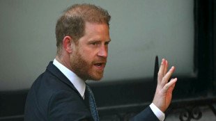 Prince Harry in court to challenge UK security downgrade