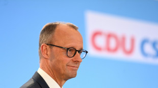 Merz bef&uuml;rchtet "Flickwerk" durch geplante Einmalzahlung
