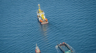 Allemagne: le remorquage de la baleine &eacute;chou&eacute;e se poursuit au large du Danemark