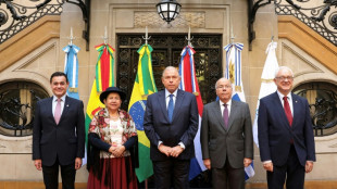Mercosur ampliar&aacute; excepciones arancelarias ante guerra comercial de Trump