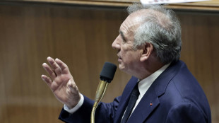 Sabotages &eacute;lectriques: la surveillance va &ecirc;tre &eacute;tendue "&agrave; tous les lieux critiques", dit Bayrou&nbsp;