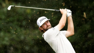 Young seizes five-stroke lead at PGA Wyndham Championship