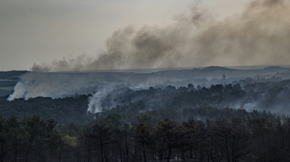 Incendio en parque nacional griego revel&oacute; "fracaso cr&oacute;nico" en protecci&oacute;n de la naturaleza (ONG)